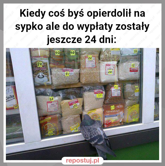 Kiedy coś byś opierdolił na sypko ale do wypłaty zostały jeszcze 24 dni: