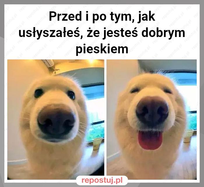 Przed i po tym, jak usłyszałeś, że jesteś dobrym pieskiem