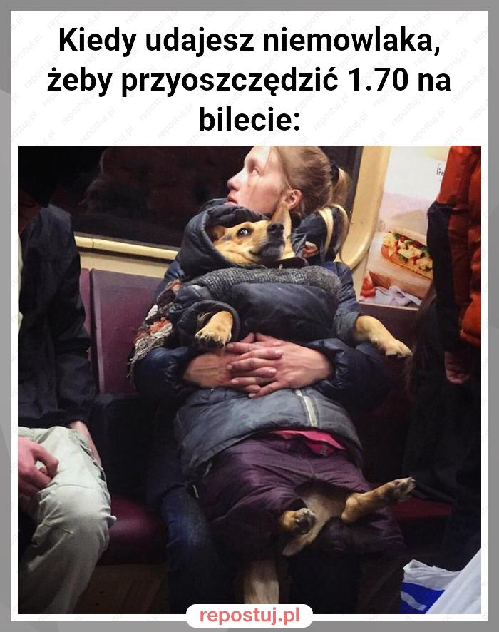 Kiedy udajesz niemowlaka,
żeby przyoszczędzić 1.70 na bilecie: