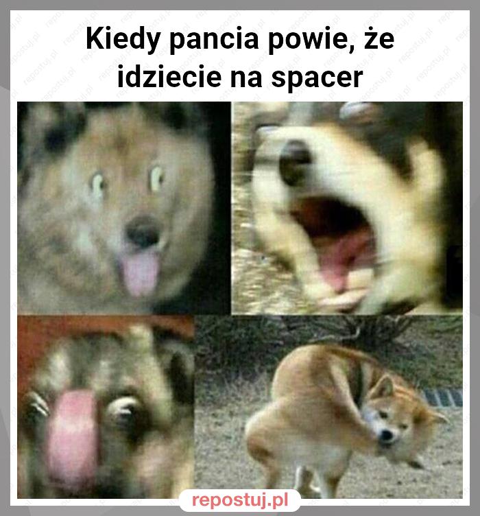 Kiedy pancia powie, że idziecie na spacer