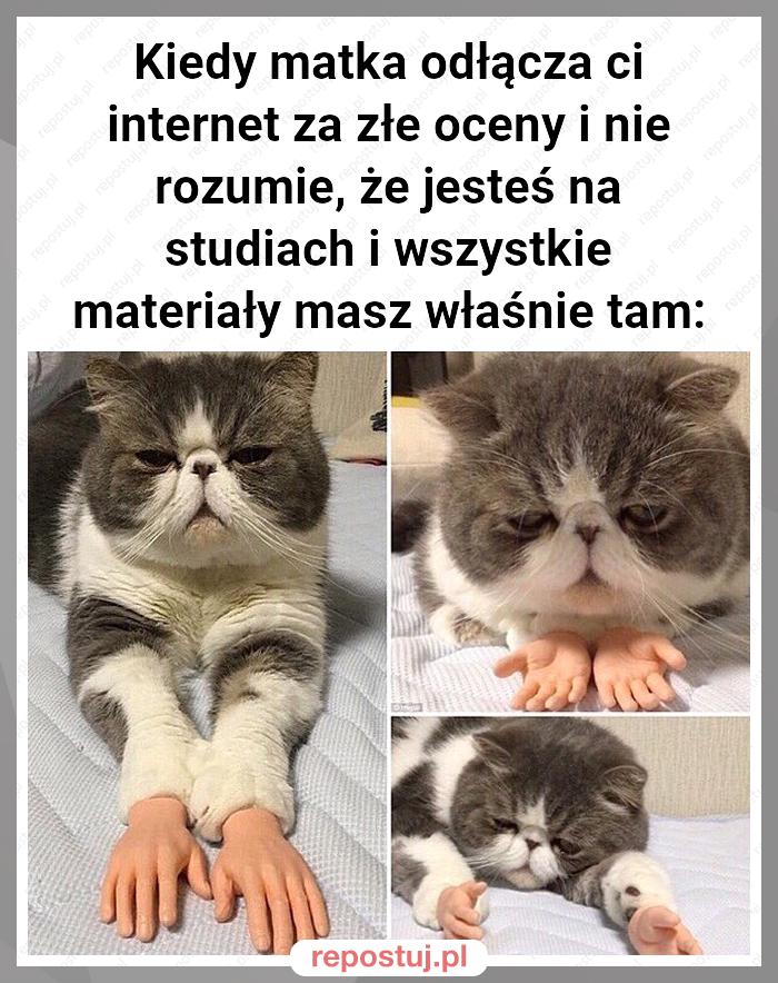 Kiedy matka odłącza ci internet za złe oceny i nie rozumie, że jesteś na studiach i wszystkie materiały masz właśnie tam: