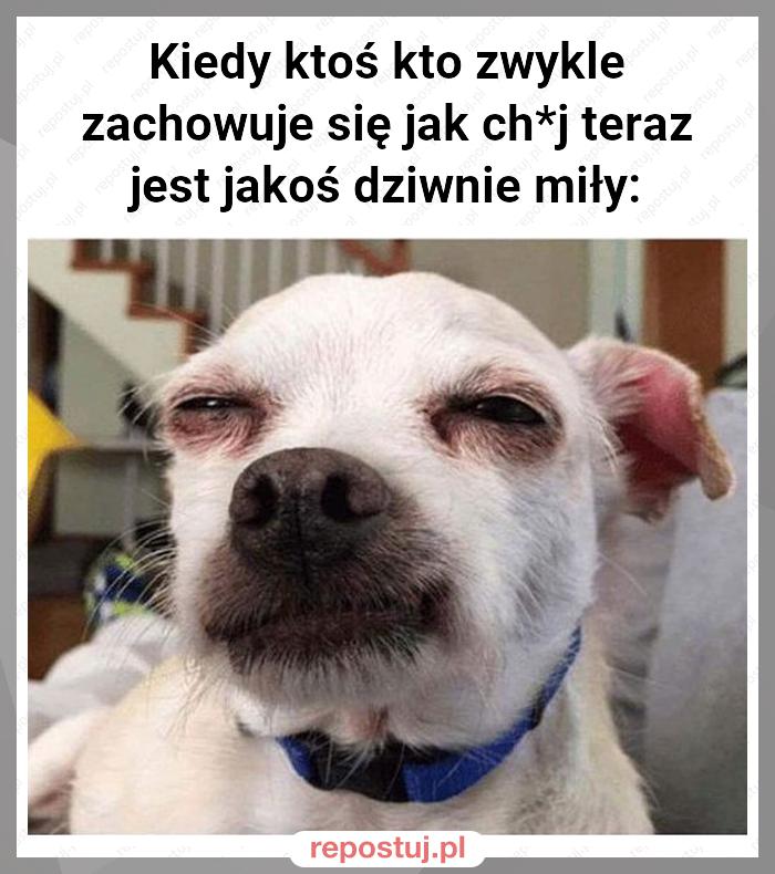 Kiedy ktoś kto zwykle zachowuje się jak ch*j teraz jest jakoś dziwnie miły: