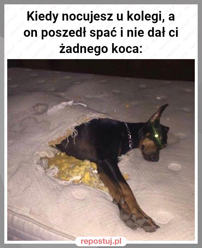 Kiedy nocujesz u kolegi, a on poszedł spać i nie dał ci żadnego koca: