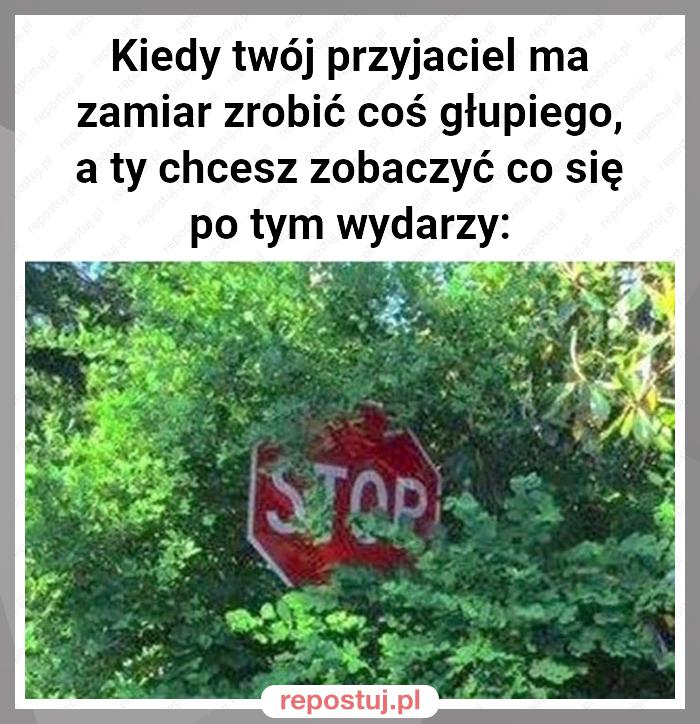 Kiedy twój przyjaciel ma zamiar zrobić coś głupiego, a ty chcesz zobaczyć co się po tym wydarzy: