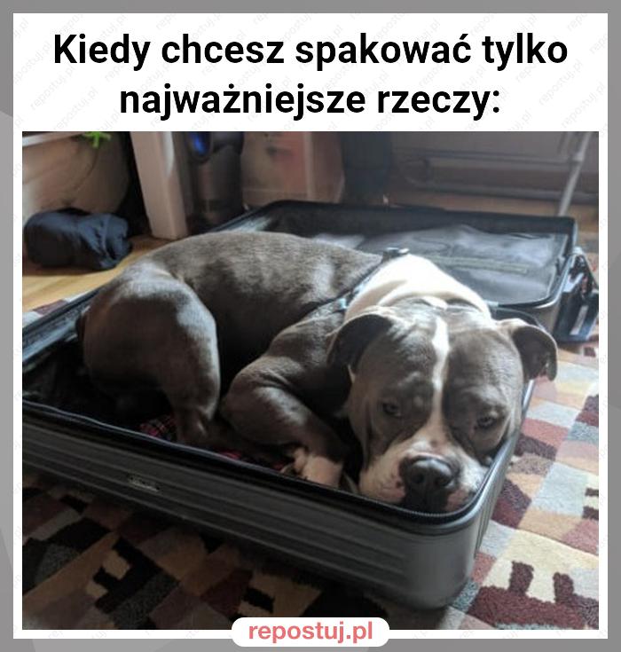 Kiedy chcesz spakować tylko najważniejsze rzeczy: