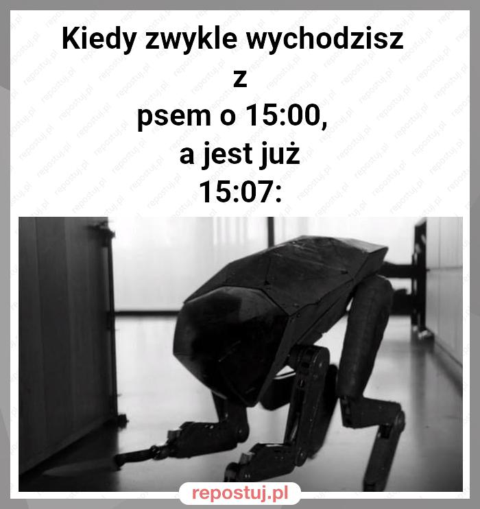 Kiedy zwykle wychodzisz 
z psem o 15:00, 
a jest już 15:07: