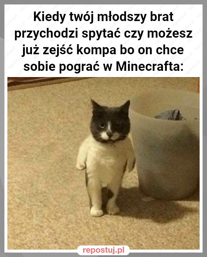 Kiedy twój młodszy brat przychodzi spytać czy możesz już zejść kompa bo on chce sobie pograć w Minecrafta: