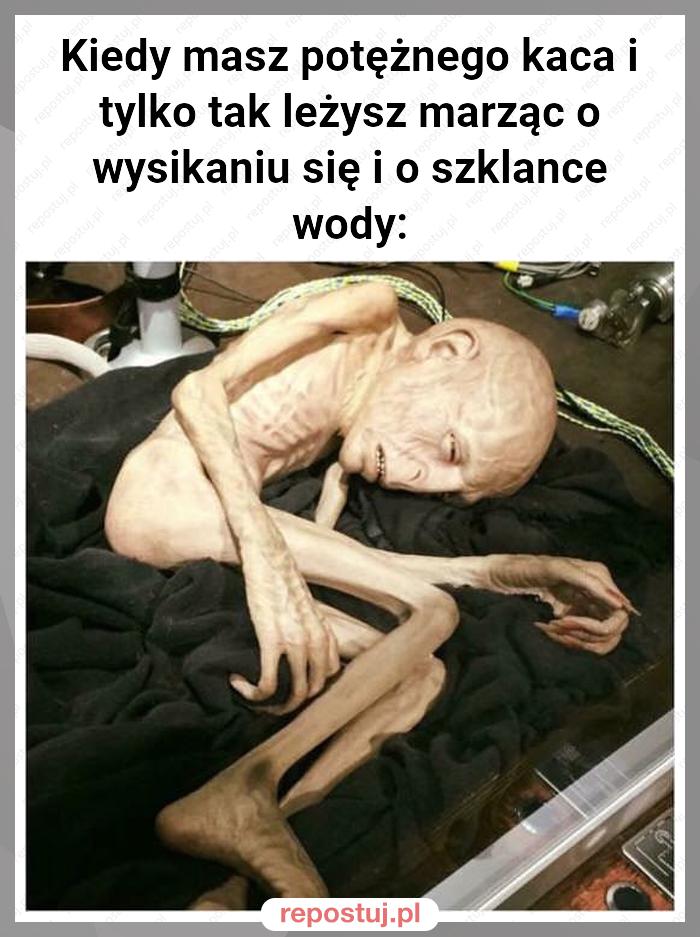 Kiedy masz potężnego kaca i tylko tak leżysz marząc o wysikaniu się i o szklance wody: