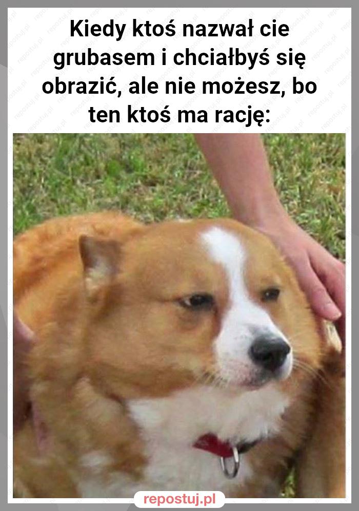 Kiedy ktoś nazwał cie grubasem i chciałbyś się obrazić, ale nie możesz, bo ten ktoś ma rację: