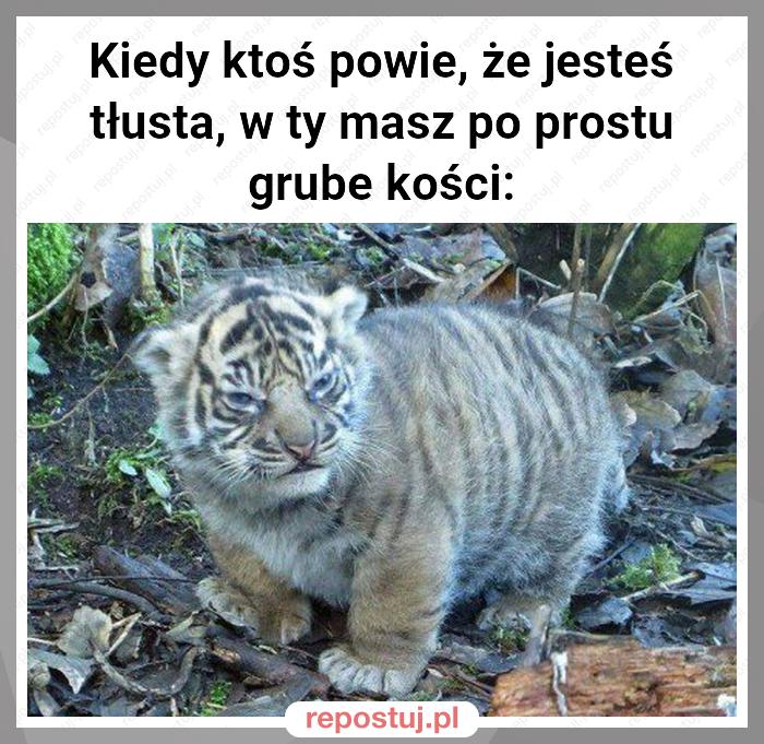 Kiedy ktoś powie, że jesteś tłusta, w ty masz po prostu grube kości: