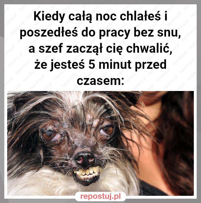 Kiedy całą noc chlałeś i poszedłeś do pracy bez snu, a szef zaczął cię chwalić, że jesteś 5 minut przed czasem: