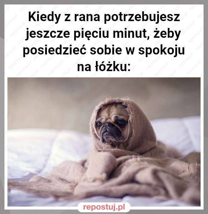 Kiedy z rana potrzebujesz jeszcze pięciu minut, żeby posiedzieć sobie w spokoju na łóżku: