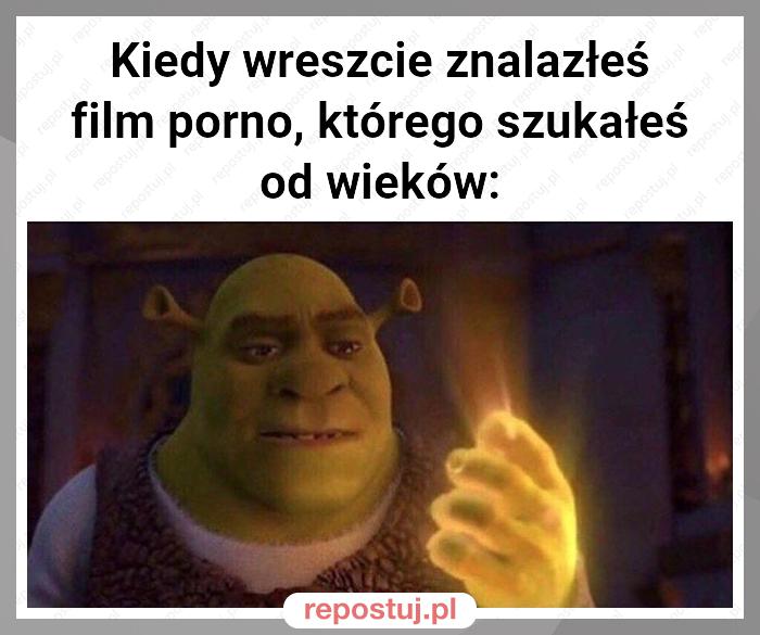 Kiedy wreszcie znalazłeś film porno, którego szukałeś od wieków: