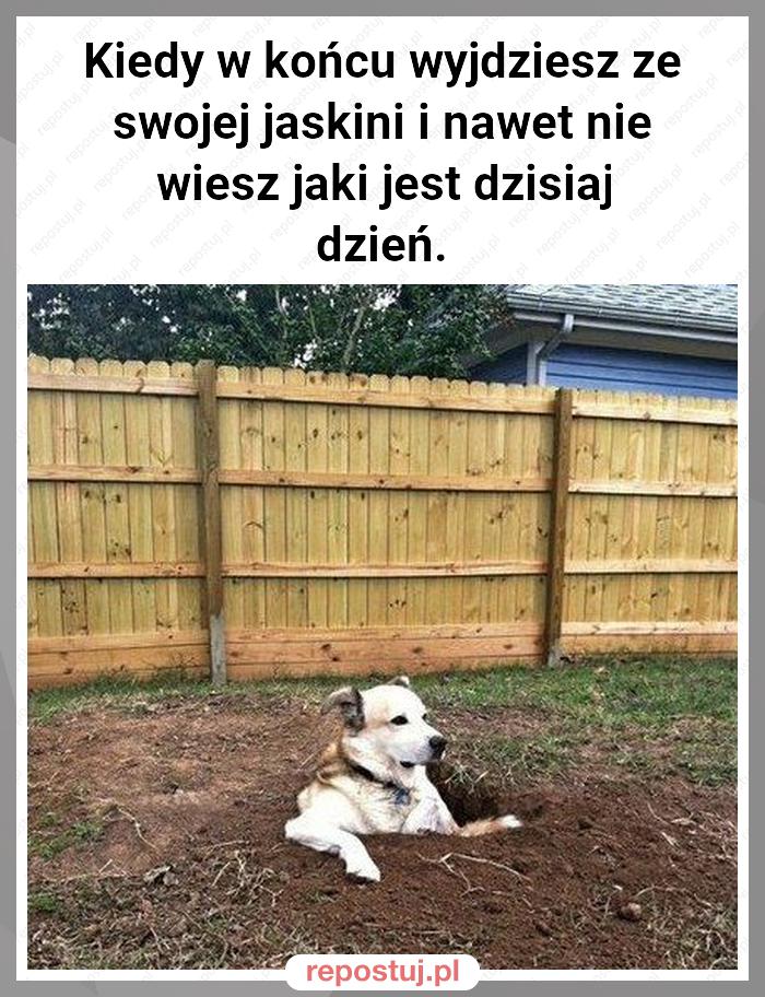 Kiedy w końcu wyjdziesz ze swojej jaskini i nawet nie wiesz jaki jest dzisiaj dzień.