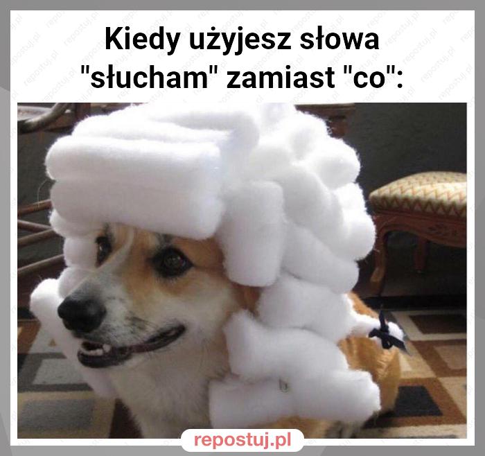 Kiedy użyjesz słowa "słucham" zamiast "co":