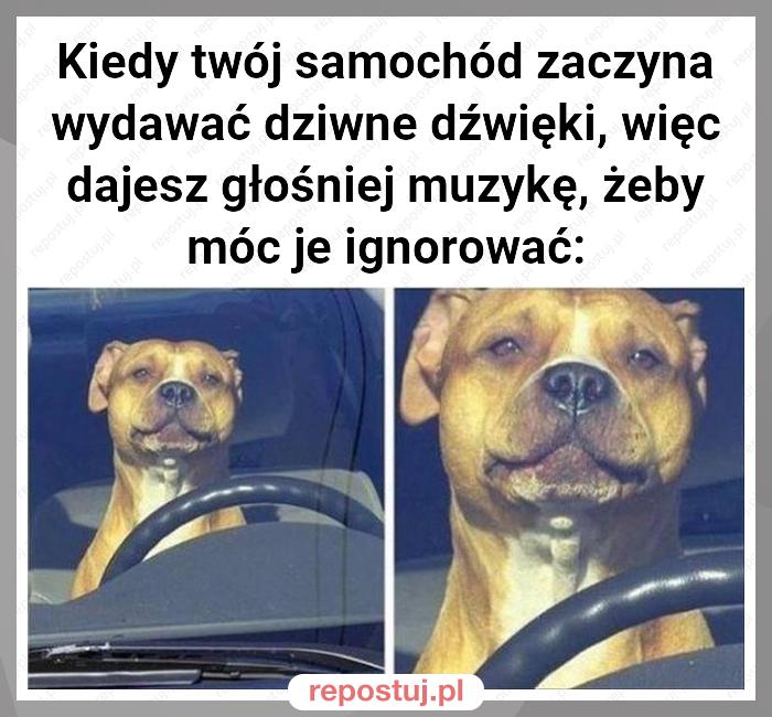 Kiedy twój samochód zaczyna wydawać dziwne dźwięki, więc dajesz głośniej muzykę, żeby móc je ignorować: