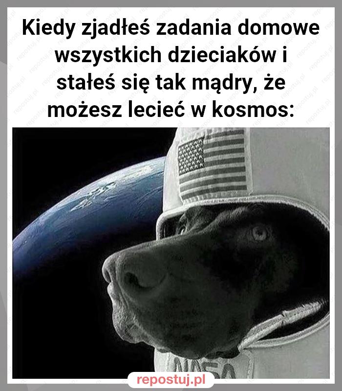 Kiedy zjadłeś zadania domowe wszystkich dzieciaków i stałeś się tak mądry, że możesz lecieć w kosmos: