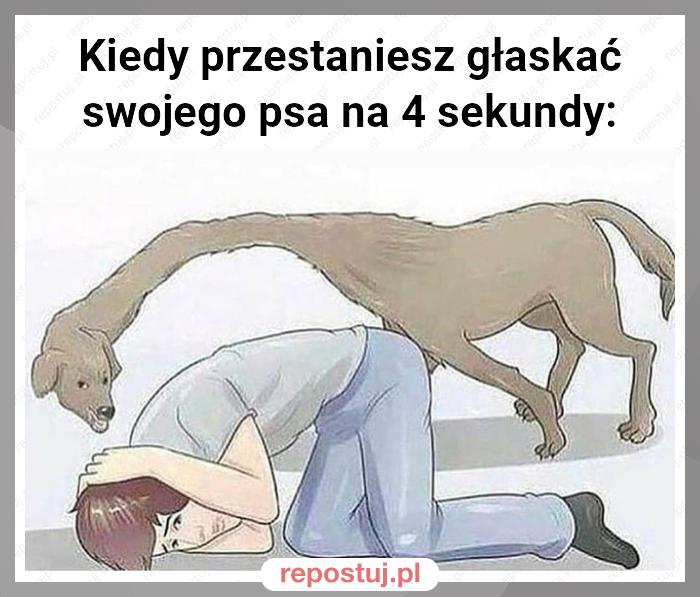 Kiedy przestaniesz głaskać swojego psa na 4 sekundy: