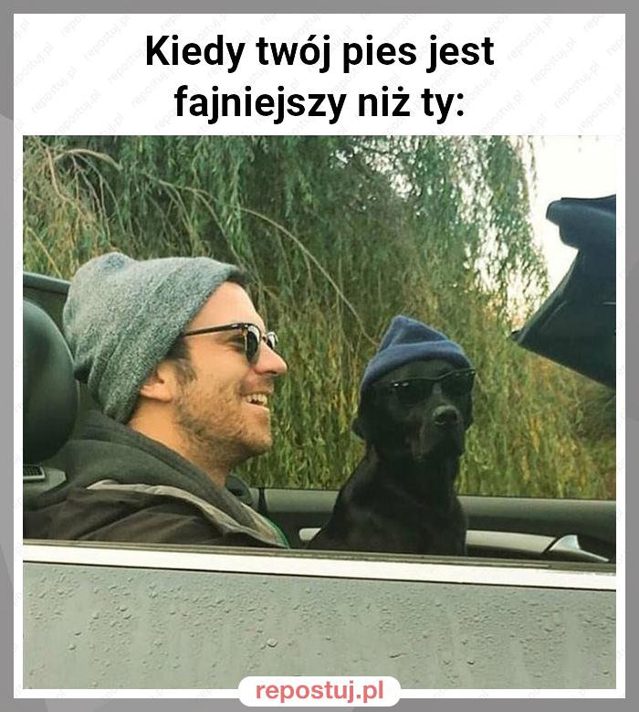 Kiedy twój pies jest fajniejszy niż ty: