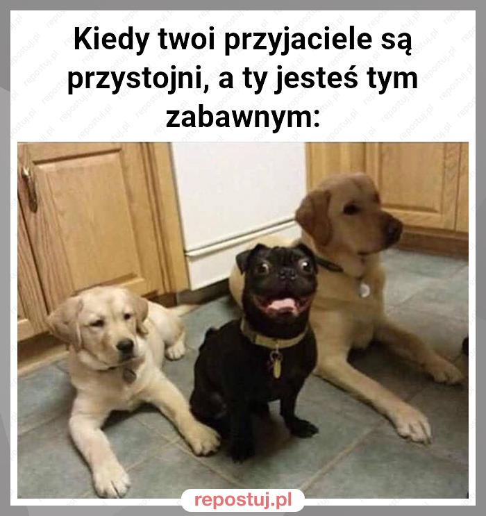 Kiedy twoi przyjaciele są przystojni, a ty jesteś tym zabawnym: