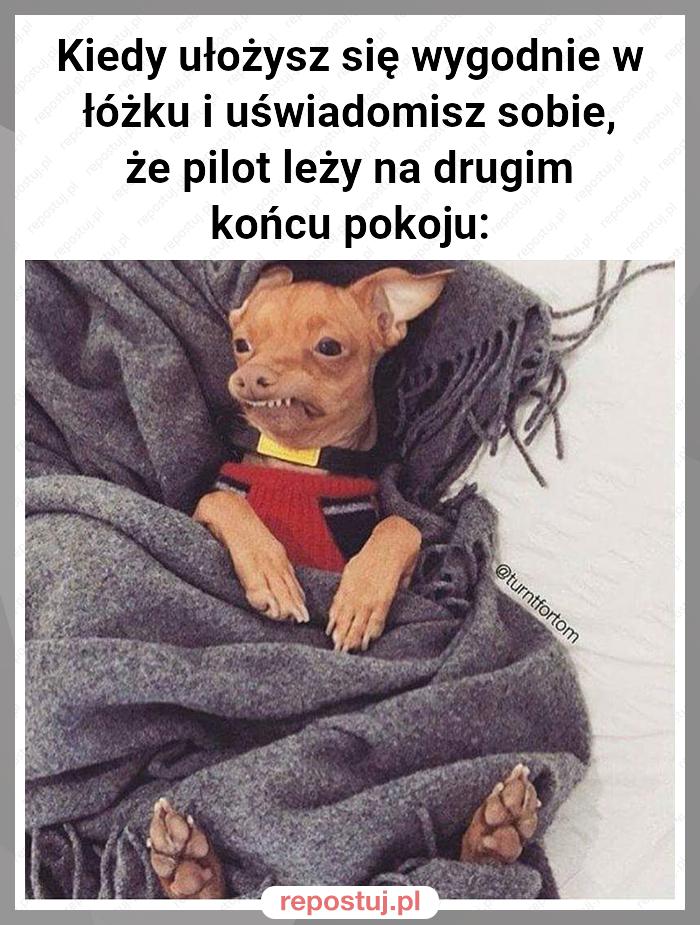 Kiedy ułożysz się wygodnie w łóżku i uświadomisz sobie, że pilot leży na drugim końcu pokoju: