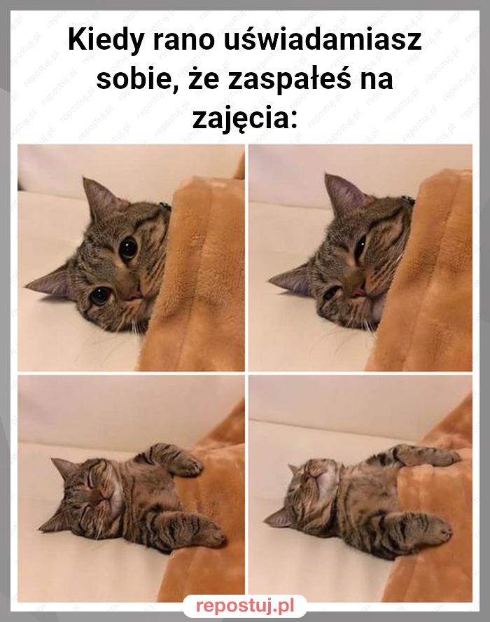 Kiedy rano uświadamiasz sobie, że zaspałeś na zajęcia: