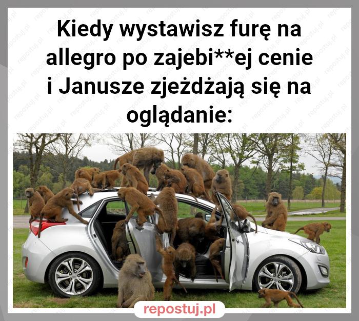 Kiedy wystawisz furę na allegro po zajebi**ej cenie i Janusze zjeżdżają się na oglądanie: