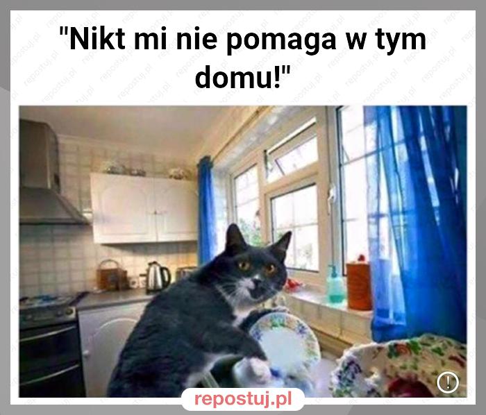 "Nikt mi nie pomaga w tym domu!"