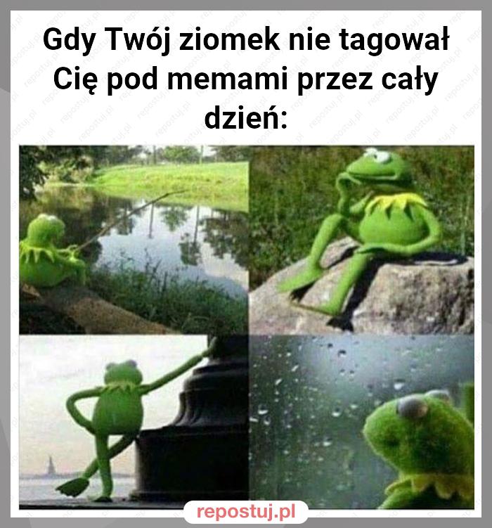 Gdy Twój ziomek nie tagował Cię pod memami przez cały dzień: