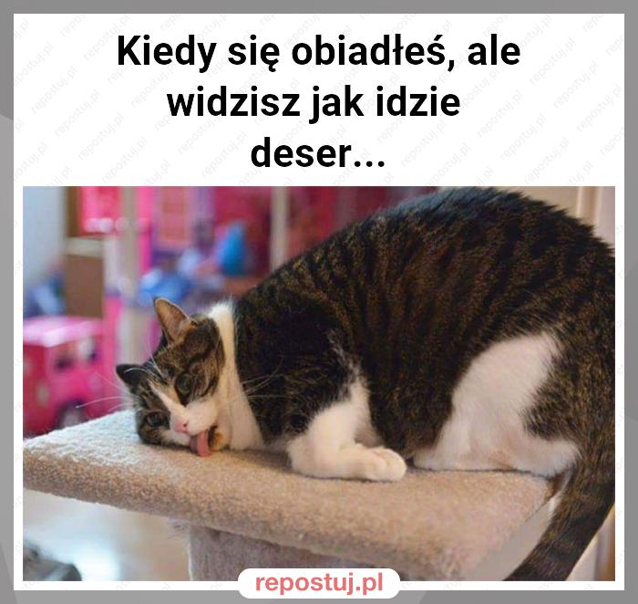 Kiedy się obiadłeś, ale widzisz jak idzie
deser...