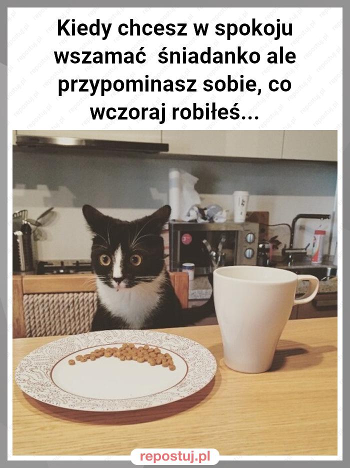 Kiedy chcesz w spokoju wszamać  śniadanko ale przypominasz sobie, co wczoraj robiłeś...