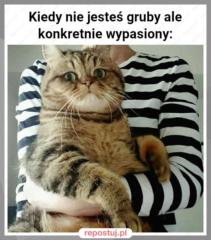 Kiedy nie jesteś gruby ale konkretnie wypasiony: