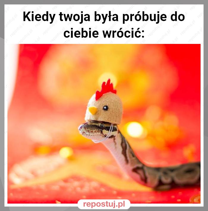 Kiedy twoja była próbuje do ciebie wrócić: