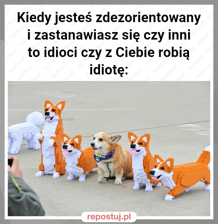 Kiedy jesteś zdezorientowany i zastanawiasz się czy inni to idioci czy z Ciebie robią idiotę: