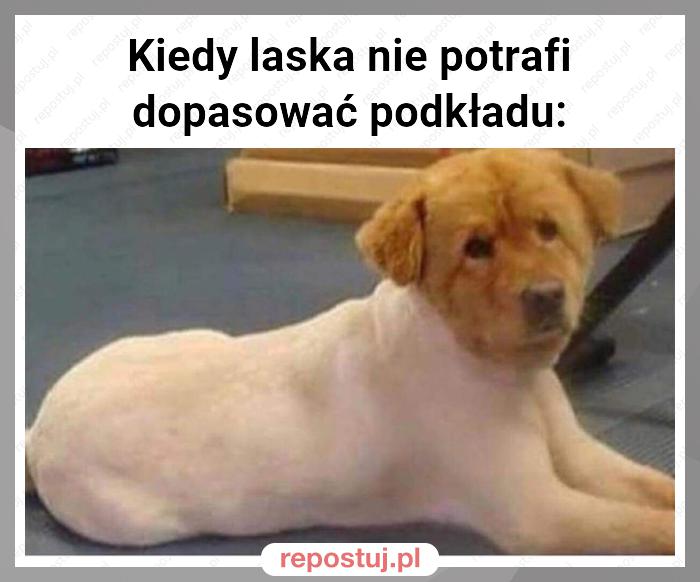 Kiedy laska nie potrafi dopasować podkładu: