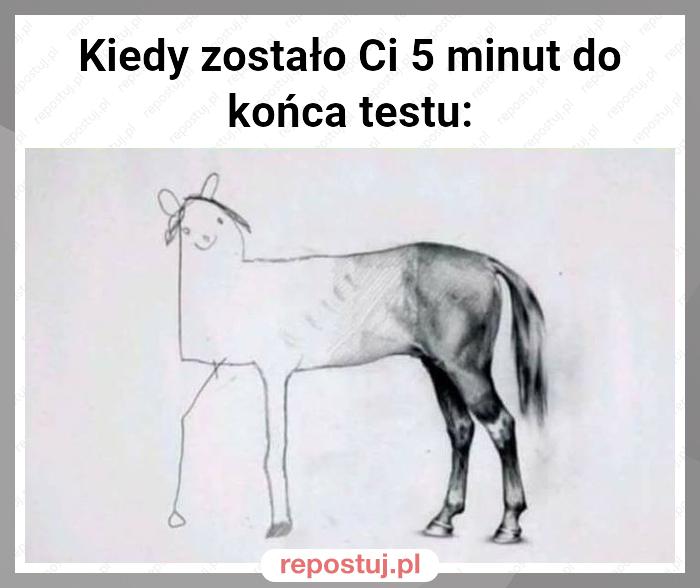 Kiedy zostało Ci 5 minut do końca testu: