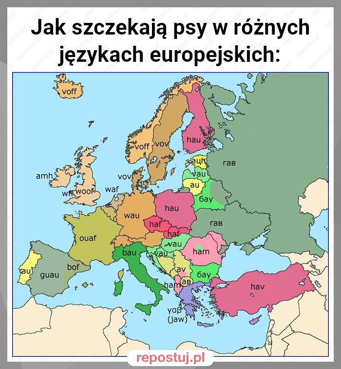 Jak szczekają psy w różnych językach europejskich: