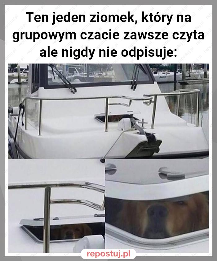 Ten jeden ziomek, który na grupowym czacie zawsze czyta ale nigdy nie odpisuje: