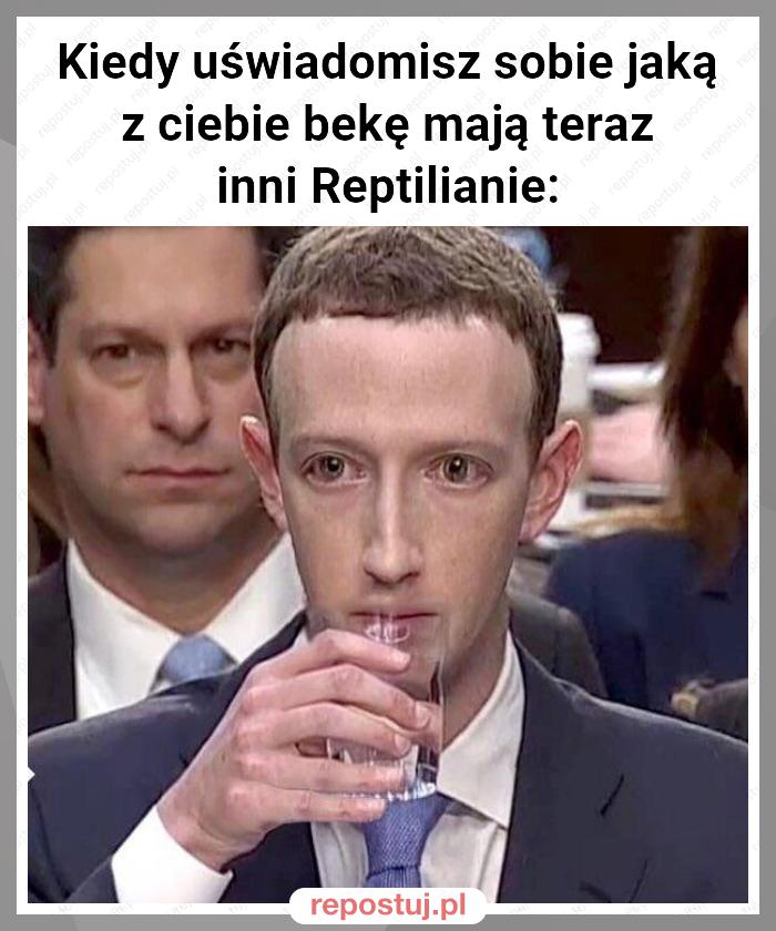 Kiedy uświadomisz sobie jaką z ciebie bekę mają teraz inni Reptilianie: