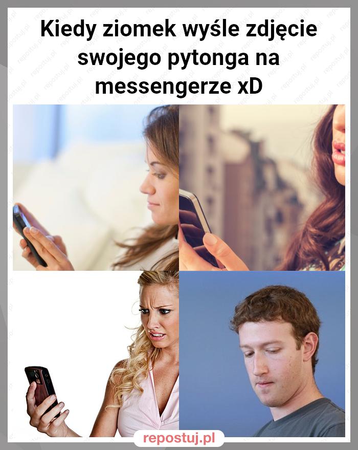 Kiedy ziomek wyśle zdjęcie swojego pytonga na messengerze xD