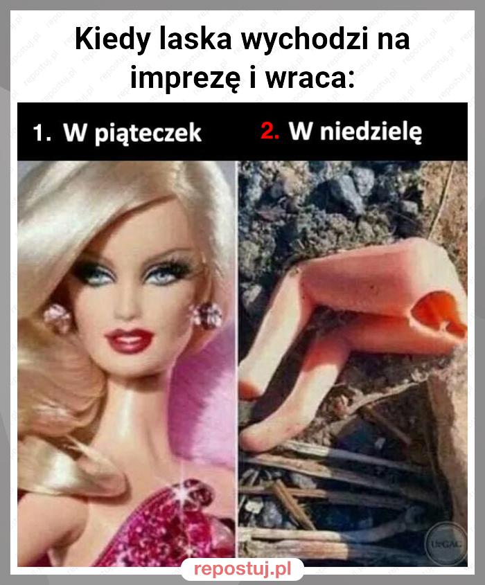 Kiedy laska wychodzi na imprezę i wraca: