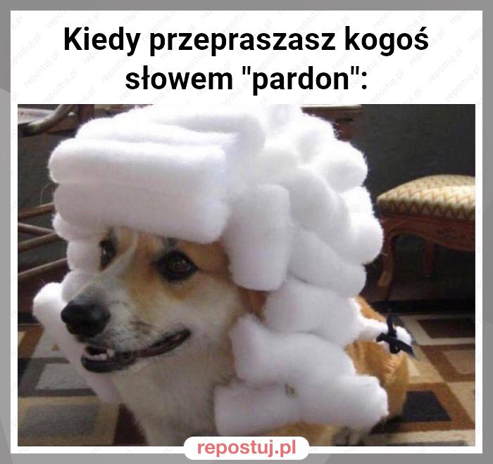 Kiedy przepraszasz kogoś słowem "pardon":