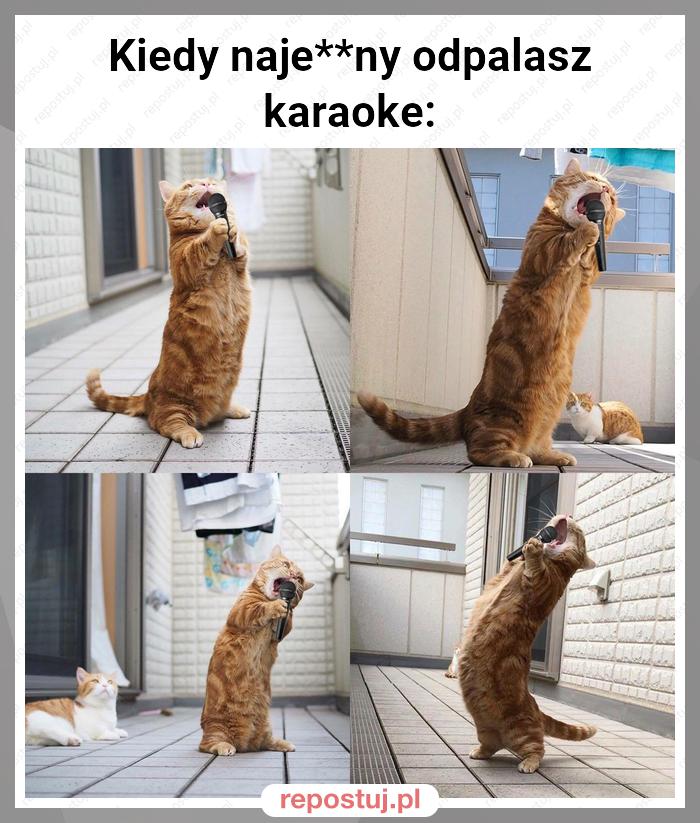 Kiedy naje**ny odpalasz karaoke: