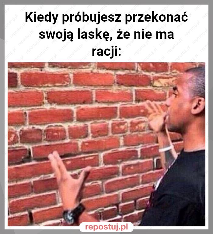 Kiedy próbujesz przekonać swoją laskę, że nie ma racji: