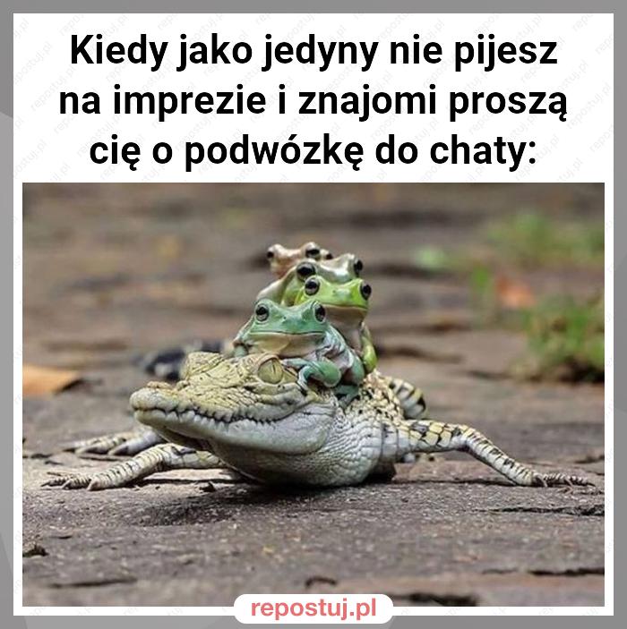 Kiedy jako jedyny nie pijesz na imprezie i znajomi proszą cię o podwózkę do chaty: