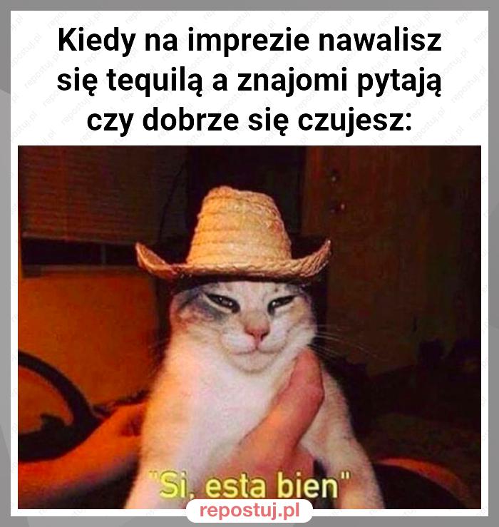 Kiedy na imprezie nawalisz się tequilą a znajomi pytają czy dobrze się czujesz: