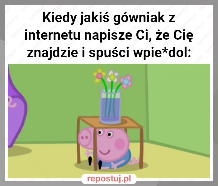 Kiedy jakiś gówniak z internetu napisze Ci, że Cię znajdzie i spuści wpie*dol: