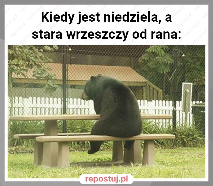 Kiedy jest niedziela, a stara wrzeszczy od rana: