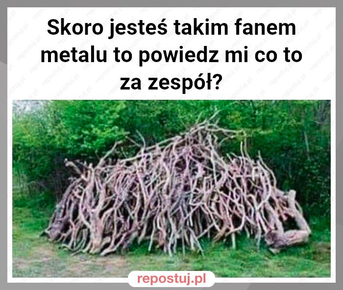 Skoro jesteś takim fanem metalu to powiedz mi co to za zespół?