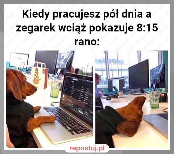 Kiedy pracujesz pół dnia a zegarek wciąż pokazuje 8:15 rano: